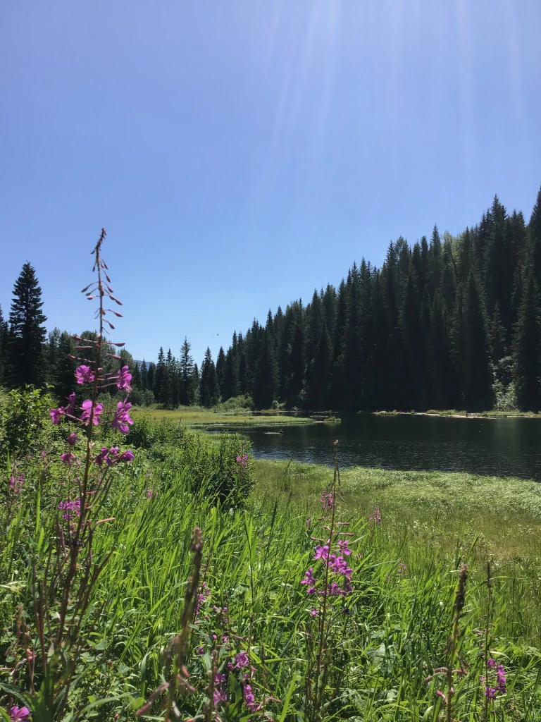 Photo: Recreation Sites and Trails BC. © Province of British Columbia, licensed under the Open Government Licence – British Columbia. Hartley Lake