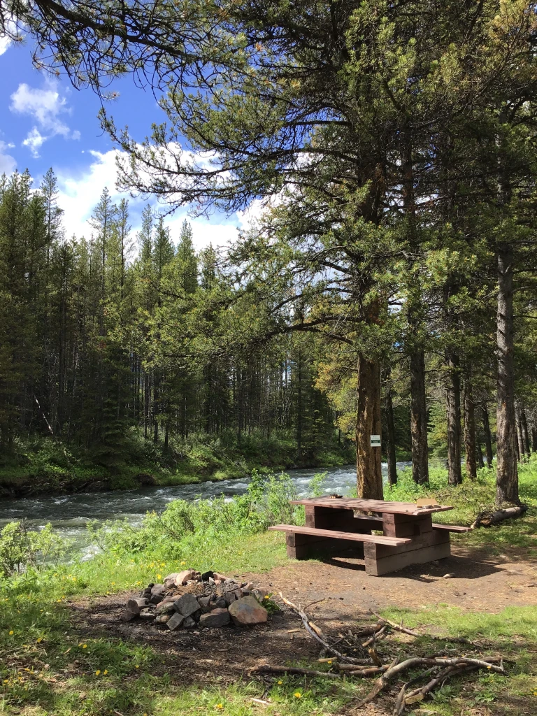 Photo: Recreation Sites and Trails BC. © Province of British Columbia, licensed under the Open Government Licence – British Columbia. Weary Creek, photo 3