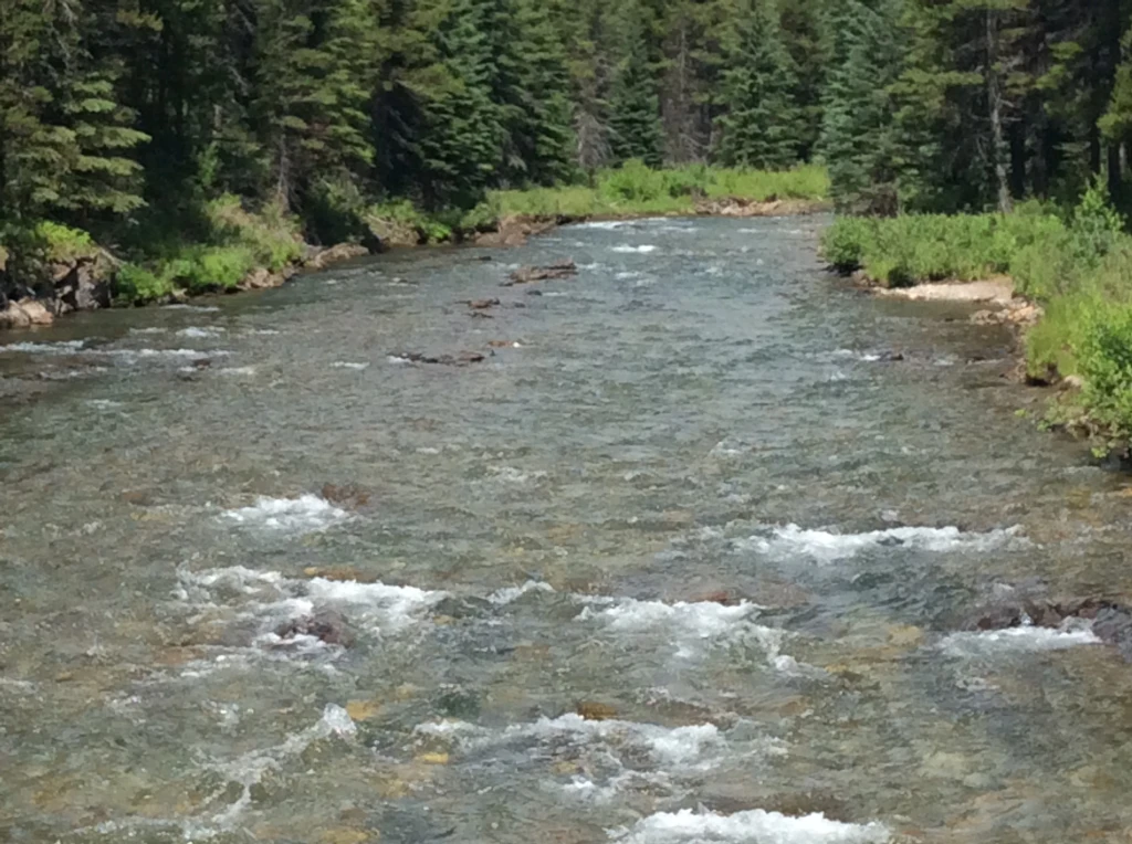 Photo: Recreation Sites and Trails BC. © Province of British Columbia, licensed under the Open Government Licence – British Columbia. Weary Creek, photo 5