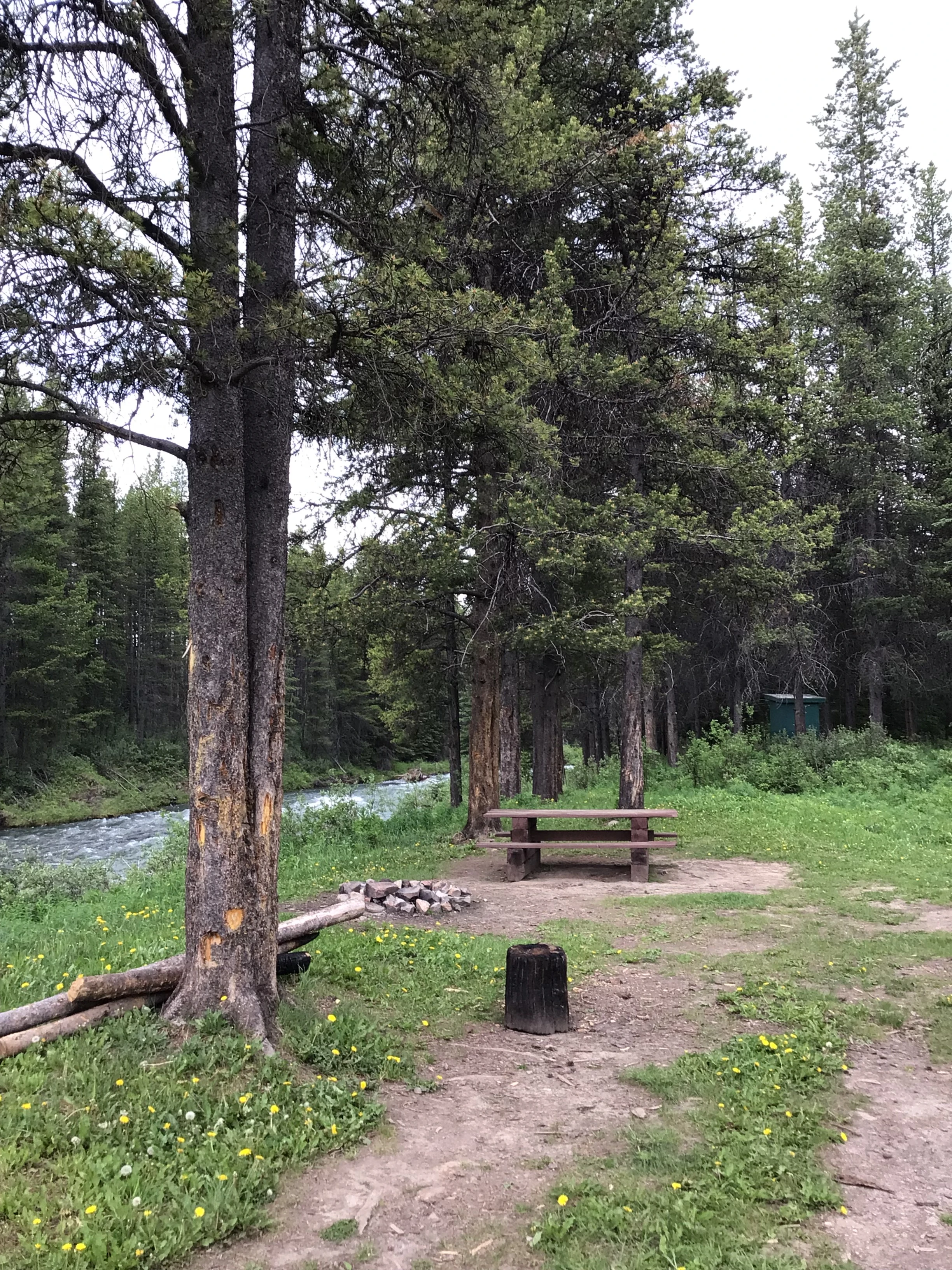 Photo: Recreation Sites and Trails BC. © Province of British Columbia, licensed under the Open Government Licence – British Columbia. Weary Creek, photo 2