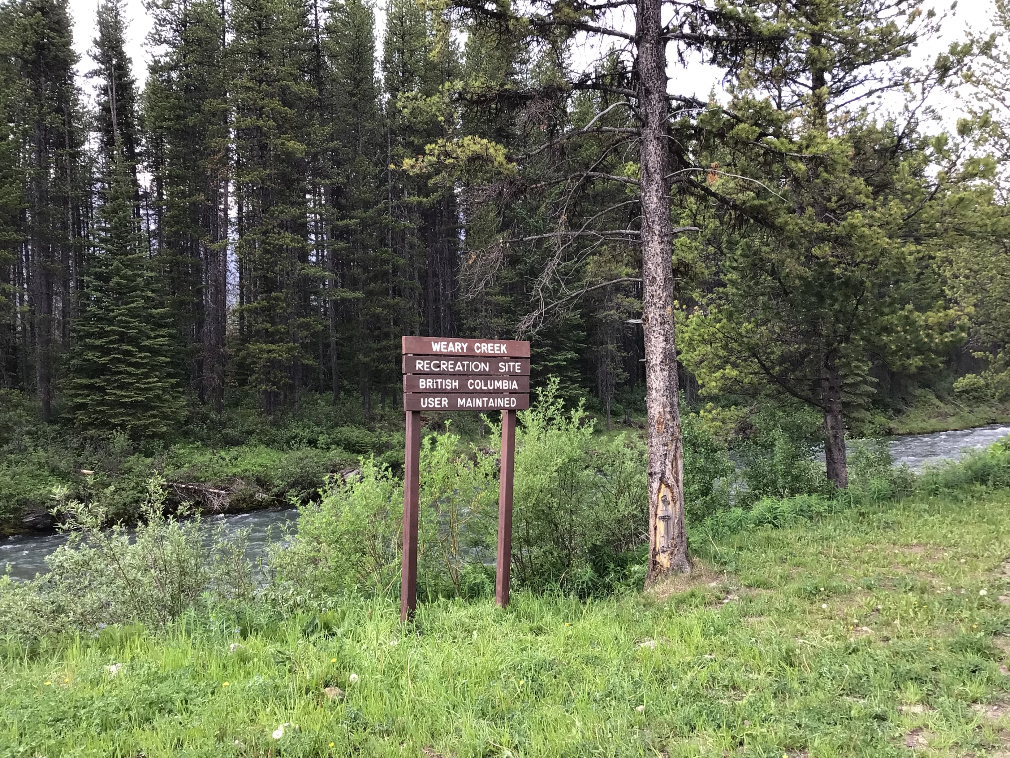 Photo: Recreation Sites and Trails BC. © Province of British Columbia, licensed under the Open Government Licence – British Columbia. Weary Creek