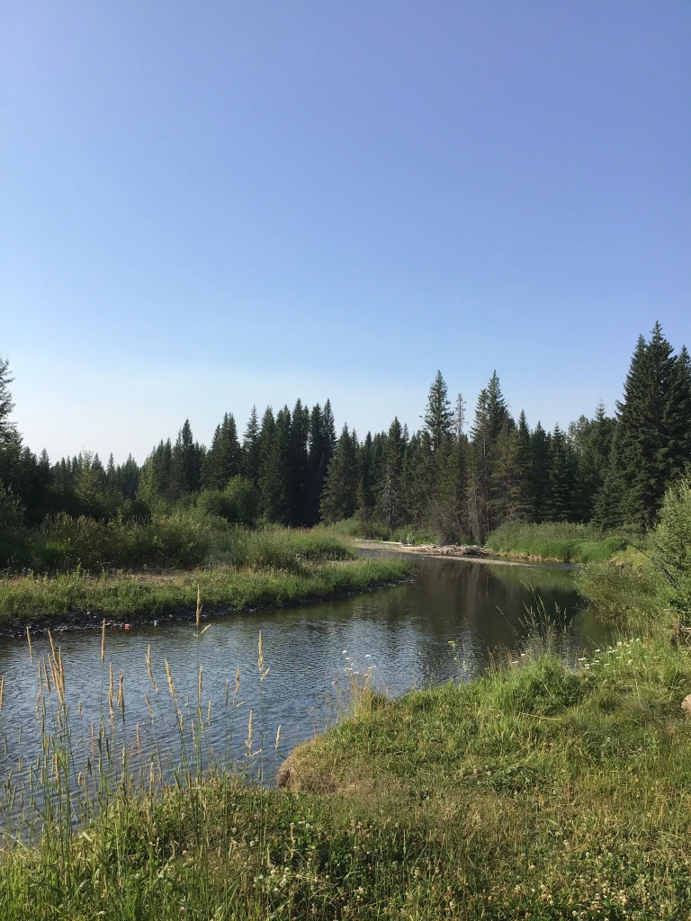 Photo: Recreation Sites and Trails BC. © Province of British Columbia, licensed under the Open Government Licence – British Columbia. Sage Creek, photo 4