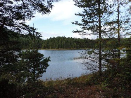 Photo: Recreation Sites and Trails BC. © Province of British Columbia, licensed under the Open Government Licence – British Columbia. Blackwater Point