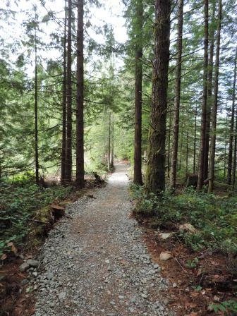 Photo: Recreation Sites and Trails BC. © Province of British Columbia, licensed under the Open Government Licence – British Columbia. Blackwater Point, photo 3