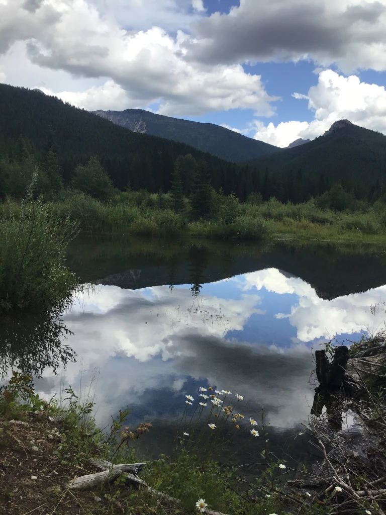 Photo: Recreation Sites and Trails BC. © Province of British Columbia, licensed under the Open Government Licence – British Columbia. Lower Harvey Creek, photo 5