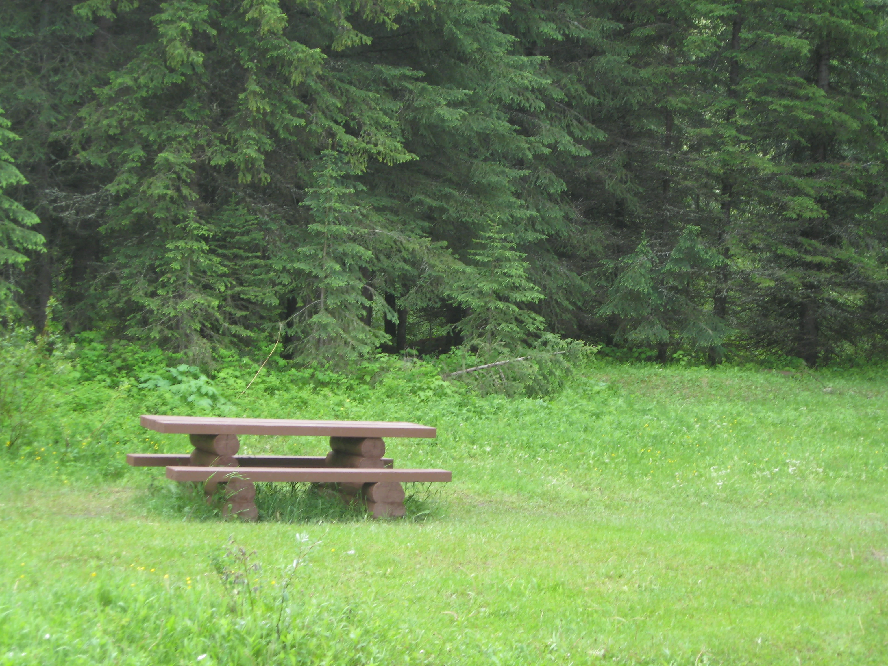 Photo: Recreation Sites and Trails BC. © Province of British Columbia, licensed under the Open Government Licence – British Columbia. Lower Harvey Creek, photo 3