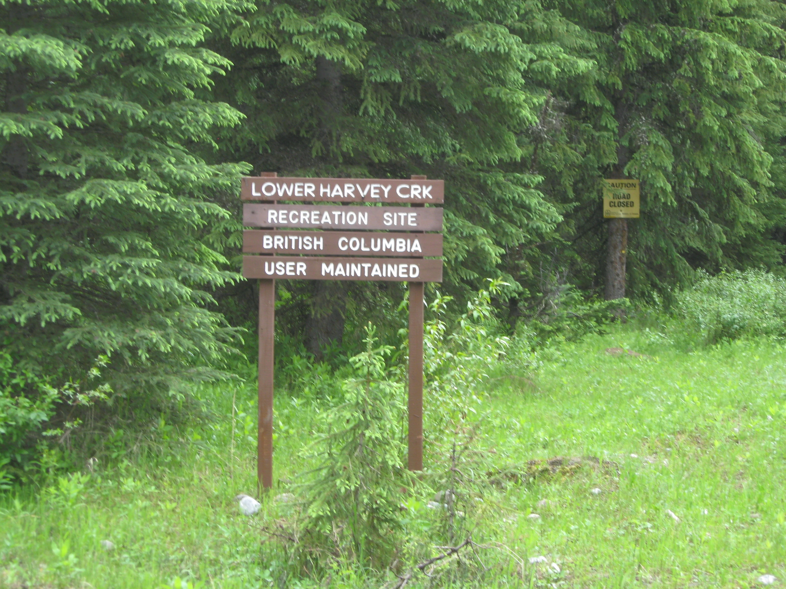 Photo: Recreation Sites and Trails BC. © Province of British Columbia, licensed under the Open Government Licence – British Columbia. Lower Harvey Creek