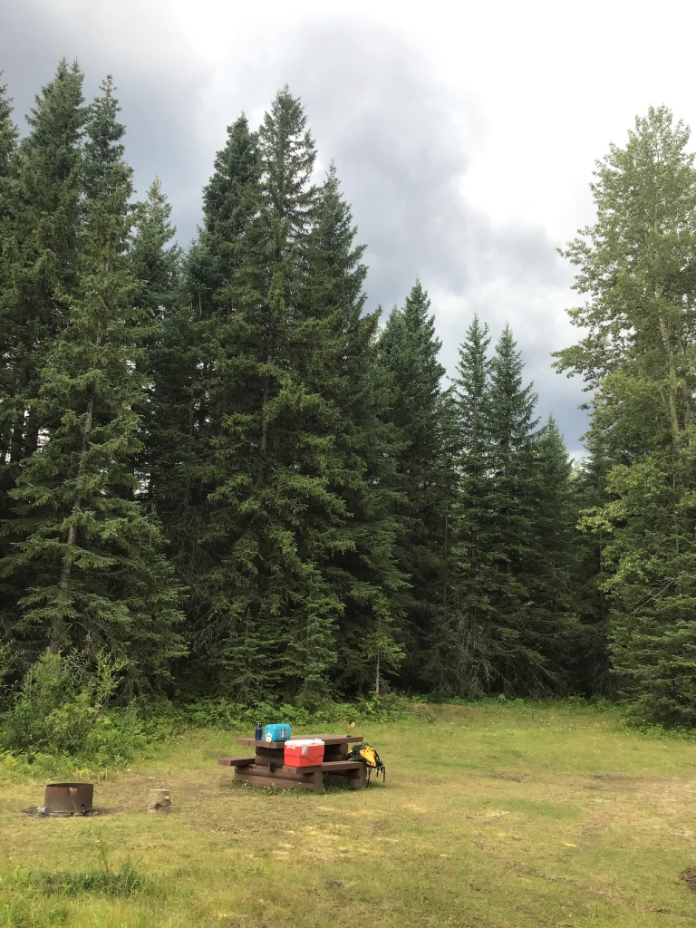 Photo: Recreation Sites and Trails BC. © Province of British Columbia, licensed under the Open Government Licence – British Columbia. Lower Harvey Creek, photo 6