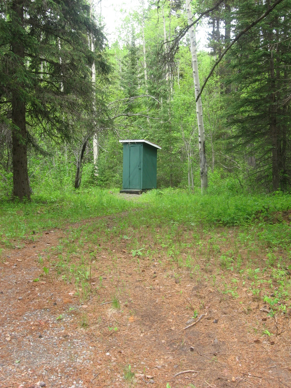 Photo: Recreation Sites and Trails BC. © Province of British Columbia, licensed under the Open Government Licence – British Columbia. Telkwa River, photo 3