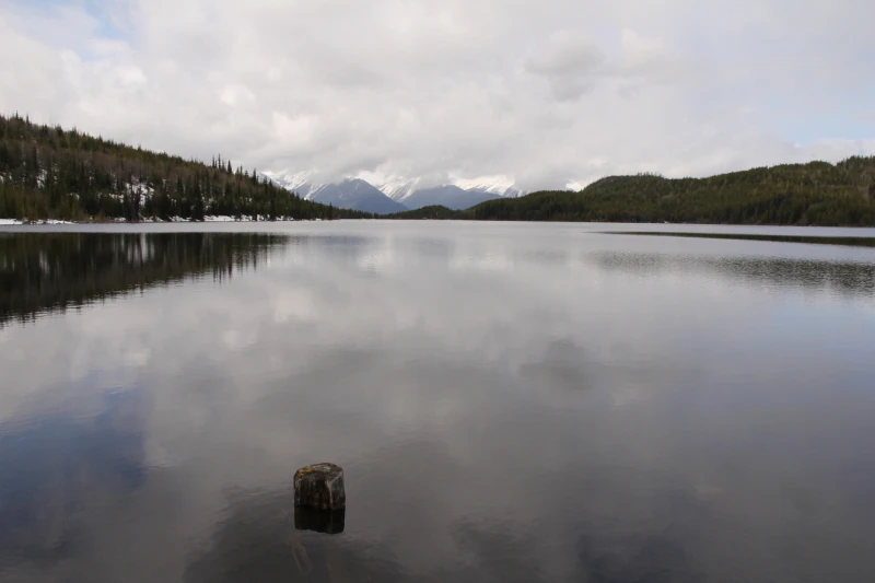 Photo: Recreation Sites and Trails BC. © Province of British Columbia, licensed under the Open Government Licence – British Columbia. Susan Lake, photo 4