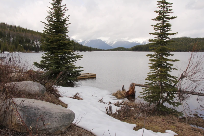 Photo: Recreation Sites and Trails BC. © Province of British Columbia, licensed under the Open Government Licence – British Columbia. Susan Lake, photo 5
