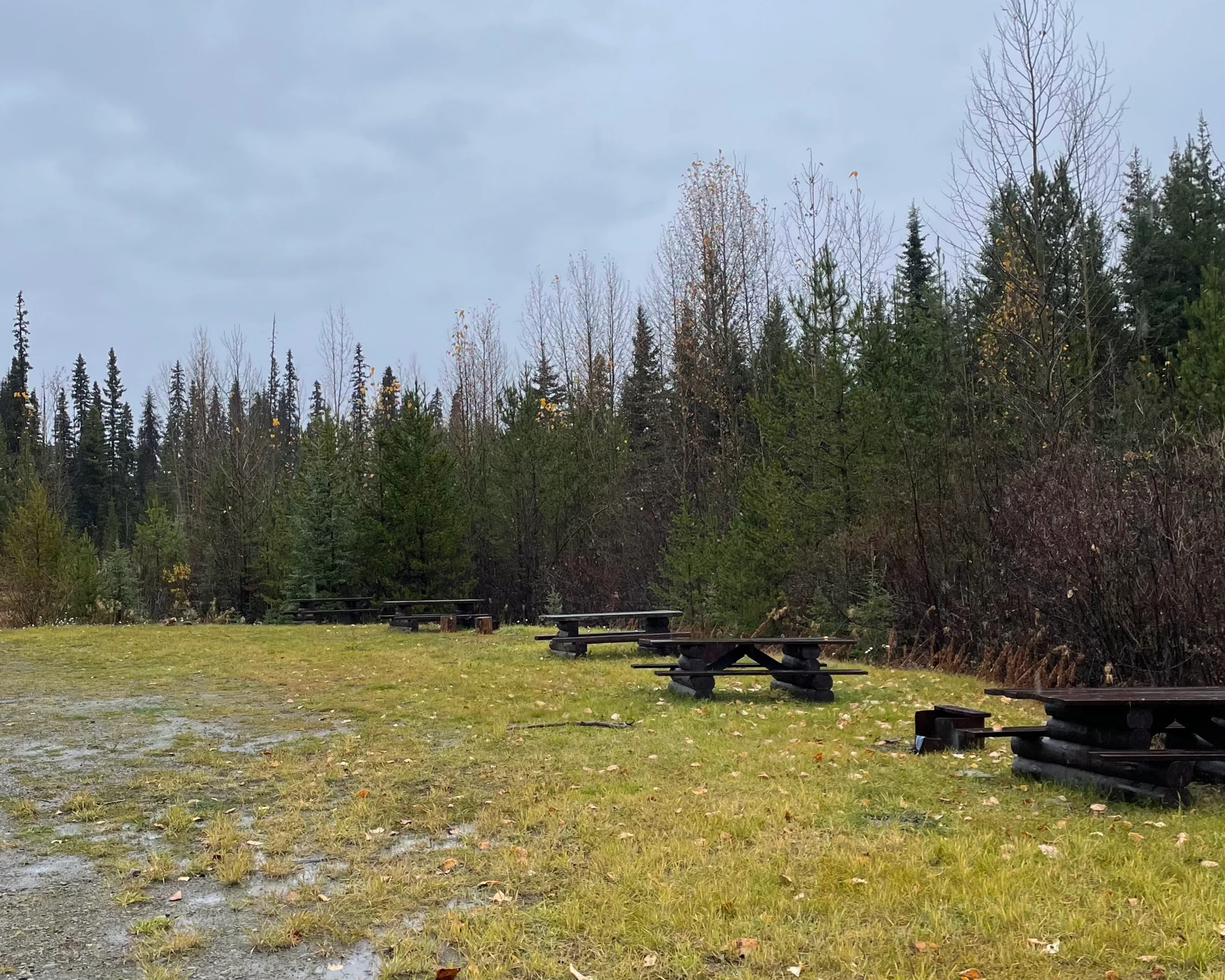 Photo: Recreation Sites and Trails BC. © Province of British Columbia, licensed under the Open Government Licence – British Columbia. Bairnsfather Creek