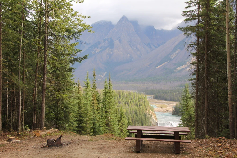 Photo: Recreation Sites and Trails BC. © Province of British Columbia, licensed under the Open Government Licence – British Columbia. Wapta Falls, photo 7