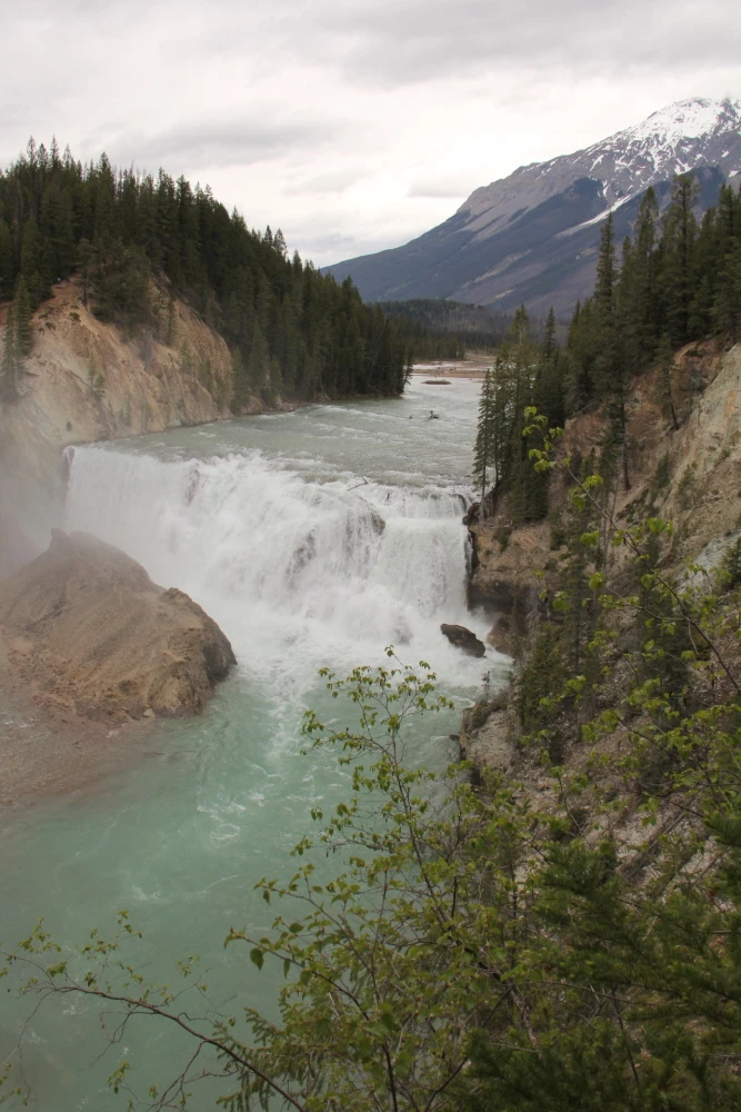 Photo: Recreation Sites and Trails BC. © Province of British Columbia, licensed under the Open Government Licence – British Columbia. Wapta Falls, photo 3