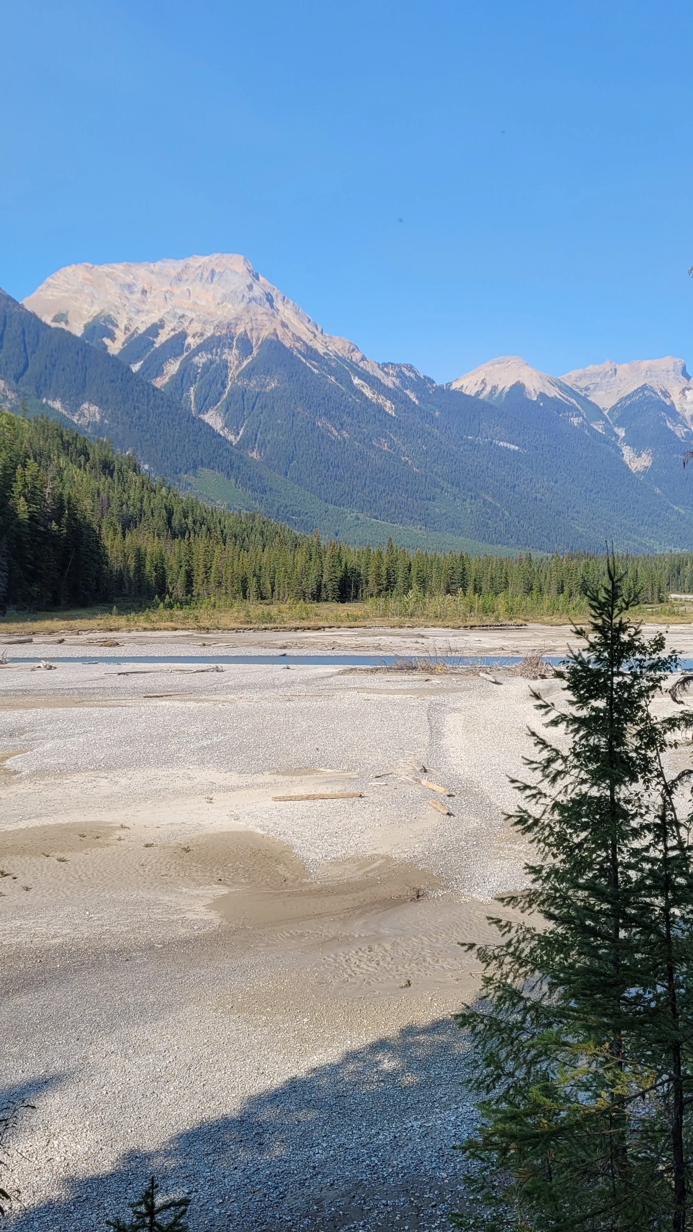Photo: Recreation Sites and Trails BC. © Province of British Columbia, licensed under the Open Government Licence – British Columbia. Split Creek, photo 6