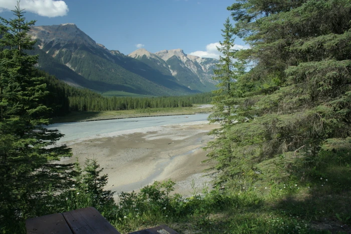 Photo: Recreation Sites and Trails BC. © Province of British Columbia, licensed under the Open Government Licence – British Columbia. Split Creek