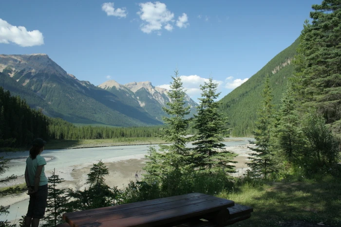 Photo: Recreation Sites and Trails BC. © Province of British Columbia, licensed under the Open Government Licence – British Columbia. Split Creek, photo 2