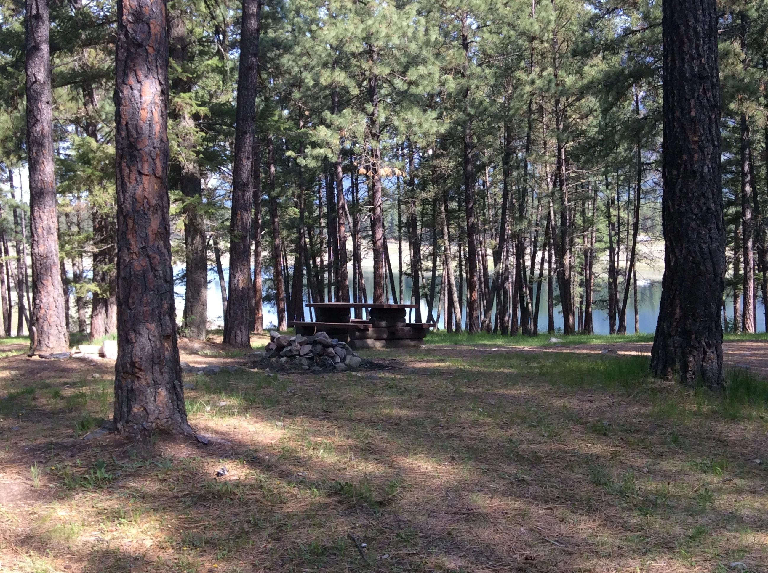 Photo: Recreation Sites and Trails BC. © Province of British Columbia, licensed under the Open Government Licence – British Columbia. Horseshoe Lake, photo 5