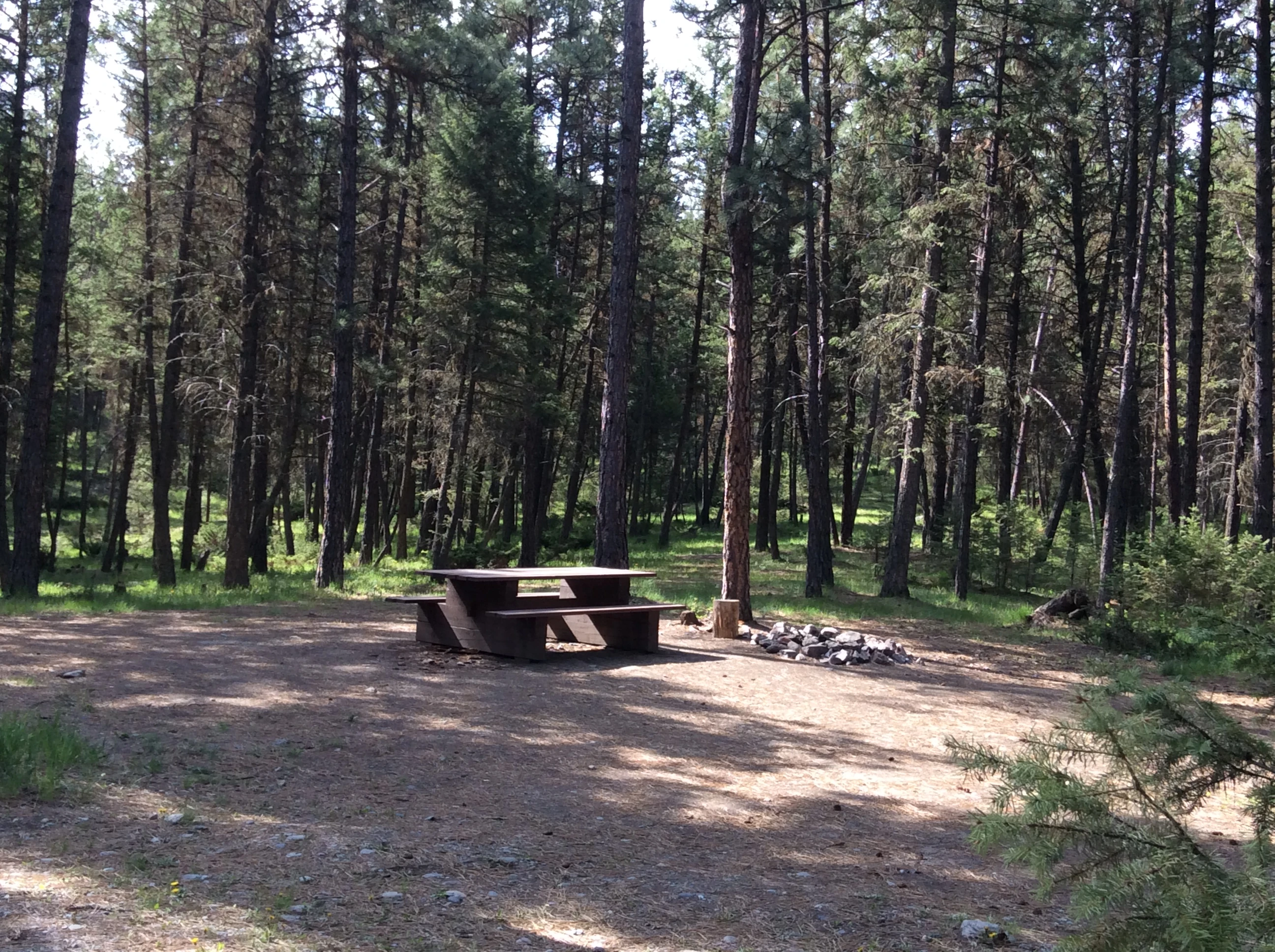 Photo: Recreation Sites and Trails BC. © Province of British Columbia, licensed under the Open Government Licence – British Columbia. Horseshoe Lake, photo 6