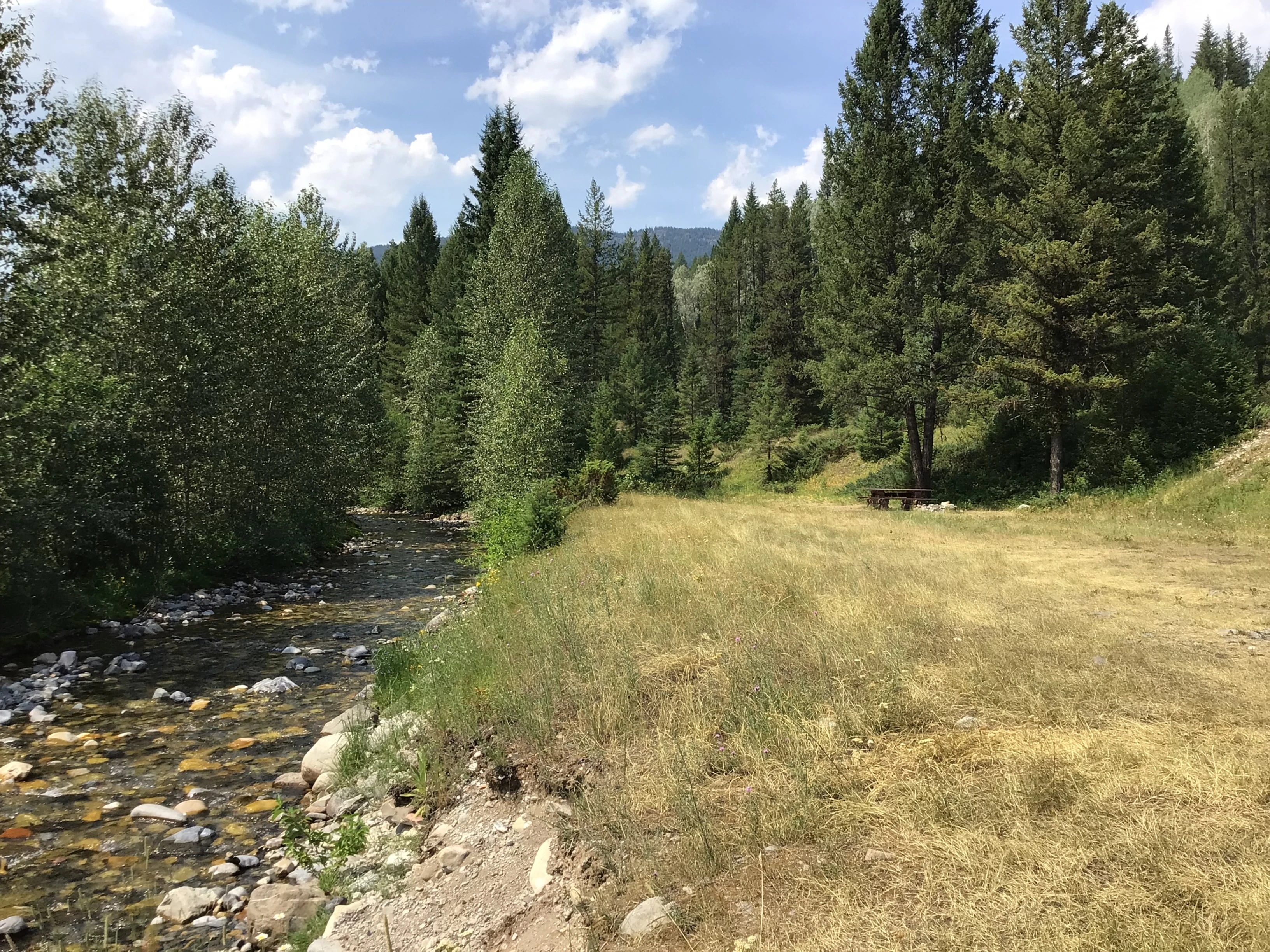 Photo: Recreation Sites and Trails BC. © Province of British Columbia, licensed under the Open Government Licence – British Columbia. Sulphur Creek, photo 2