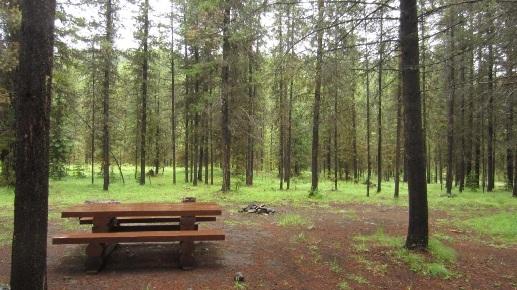 Photo: Recreation Sites and Trails BC. © Province of British Columbia, licensed under the Open Government Licence – British Columbia. Hart Creek, photo 4