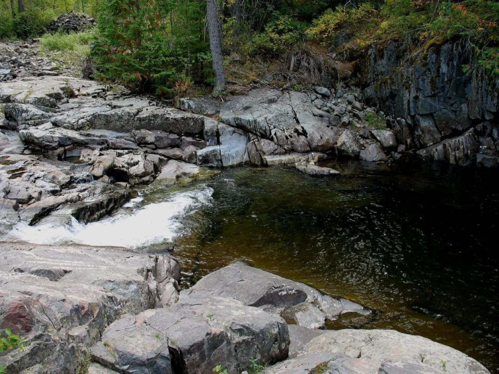 Photo: Recreation Sites and Trails BC. © Province of British Columbia, licensed under the Open Government Licence – British Columbia. Canuck Creek Site, photo 2