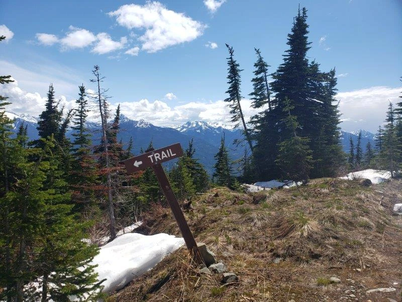 Photo: Recreation Sites and Trails BC. © Province of British Columbia, licensed under the Open Government Licence – British Columbia. Buchanan Lookout, photo 2