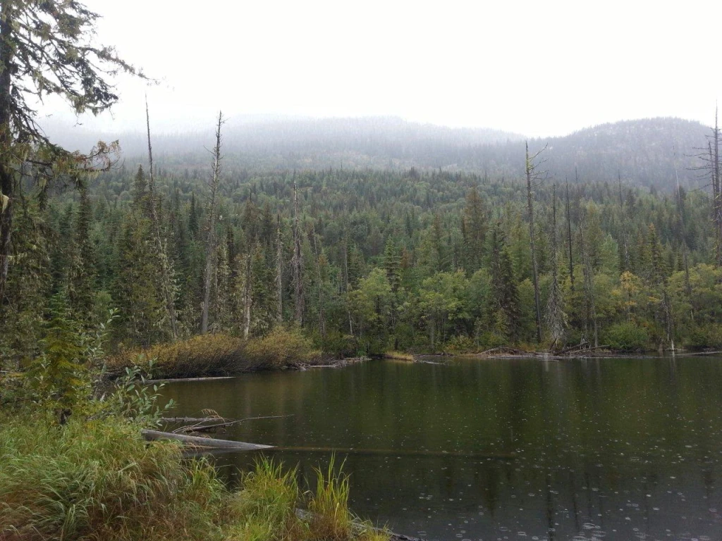 Photo: Recreation Sites and Trails BC. © Province of British Columbia, licensed under the Open Government Licence – British Columbia. Milford Lake, photo 3