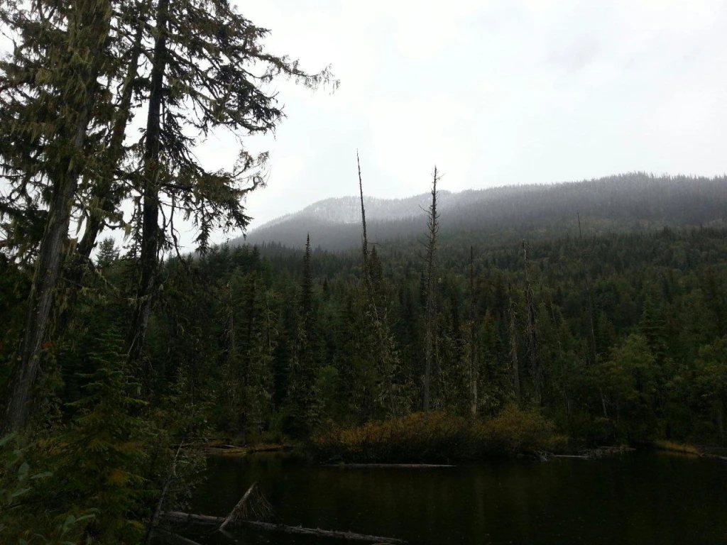 Photo: Recreation Sites and Trails BC. © Province of British Columbia, licensed under the Open Government Licence – British Columbia. Milford Lake, photo 5