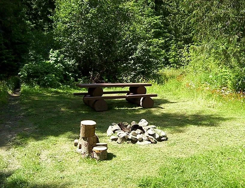 Photo: Recreation Sites and Trails BC. © Province of British Columbia, licensed under the Open Government Licence – British Columbia. Sasquatch Lake, photo 3