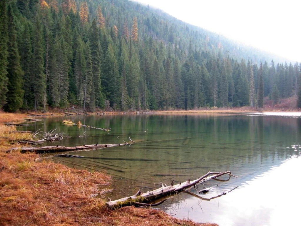 Photo: Recreation Sites and Trails BC. © Province of British Columbia, licensed under the Open Government Licence – British Columbia. Sasquatch Lake