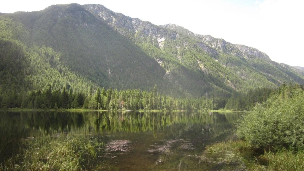 Beaver Lake