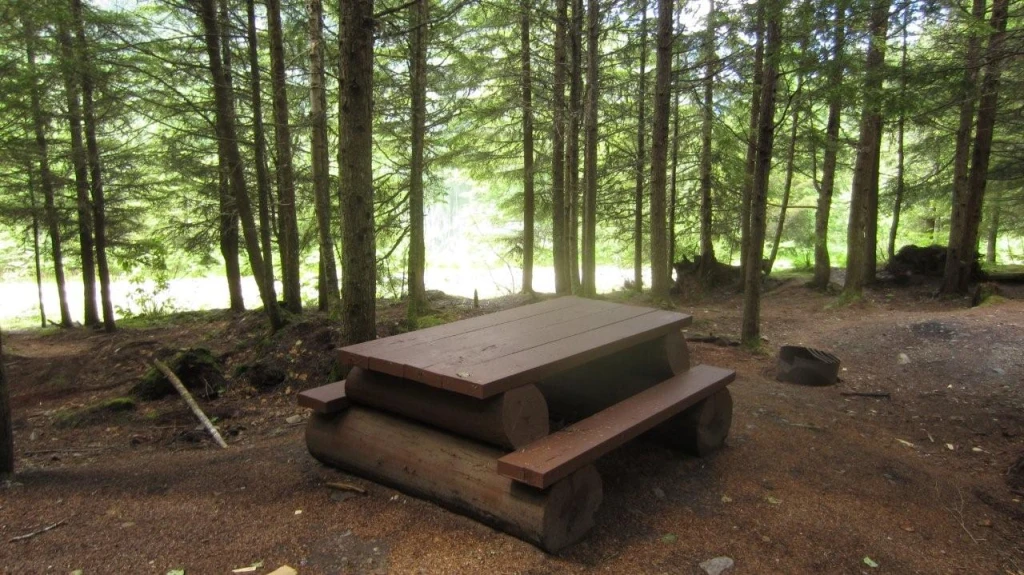Photo: Recreation Sites and Trails BC. © Province of British Columbia, licensed under the Open Government Licence – British Columbia. Beaver Lake, photo 6