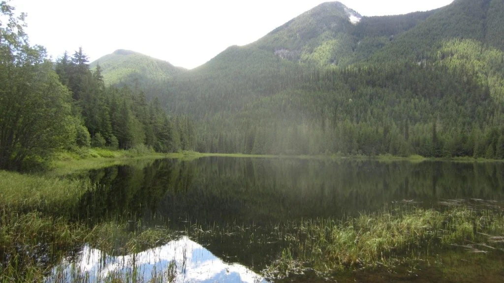 Photo: Recreation Sites and Trails BC. © Province of British Columbia, licensed under the Open Government Licence – British Columbia. Beaver Lake, photo 2