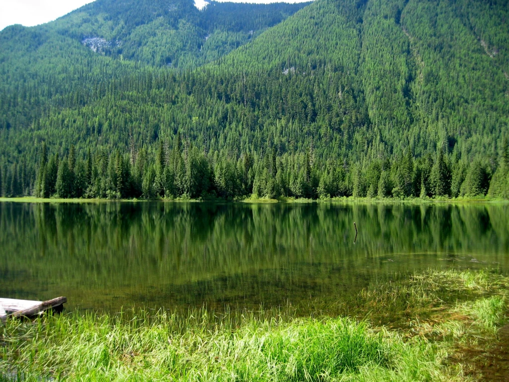 Photo: Recreation Sites and Trails BC. © Province of British Columbia, licensed under the Open Government Licence – British Columbia. Beaver Lake, photo 9