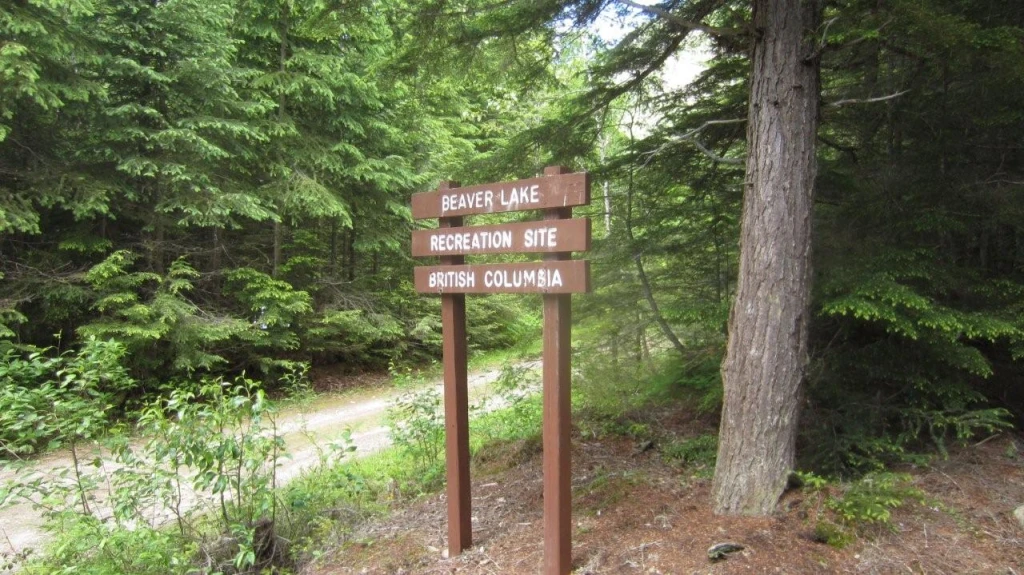 Photo: Recreation Sites and Trails BC. © Province of British Columbia, licensed under the Open Government Licence – British Columbia. Beaver Lake, photo 7
