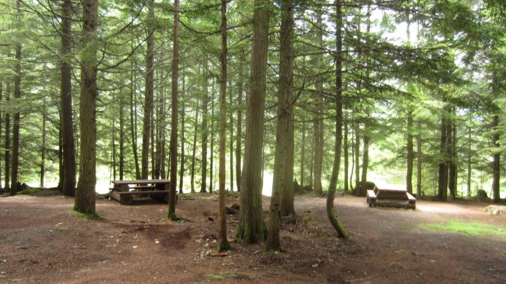 Photo: Recreation Sites and Trails BC. © Province of British Columbia, licensed under the Open Government Licence – British Columbia. Beaver Lake, photo 5