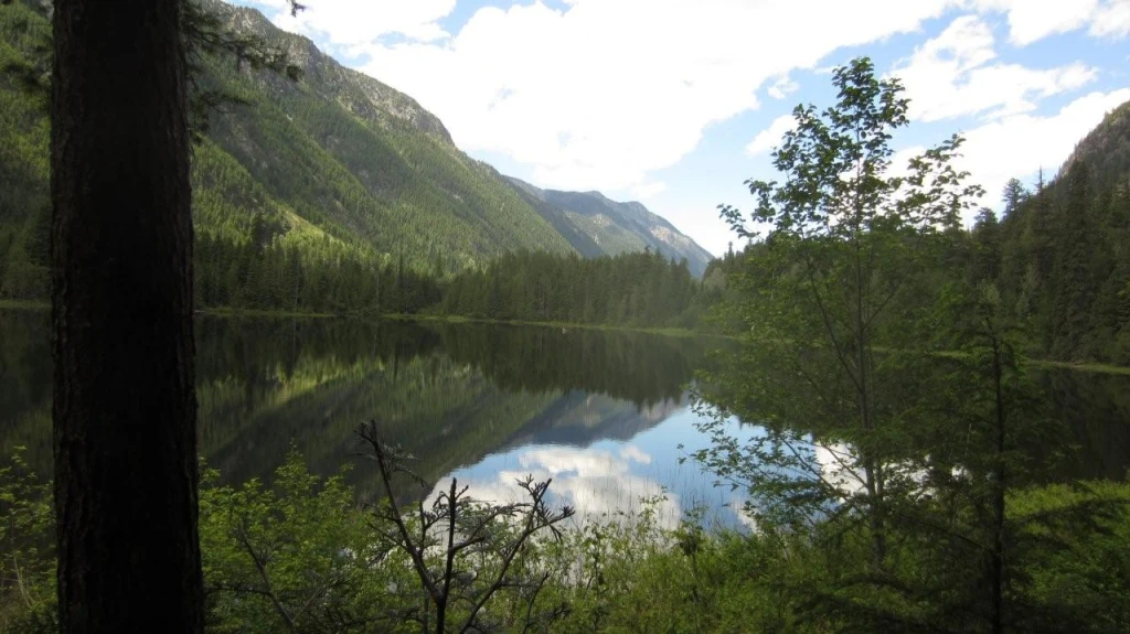 Photo: Recreation Sites and Trails BC. © Province of British Columbia, licensed under the Open Government Licence – British Columbia. Beaver Lake, photo 3