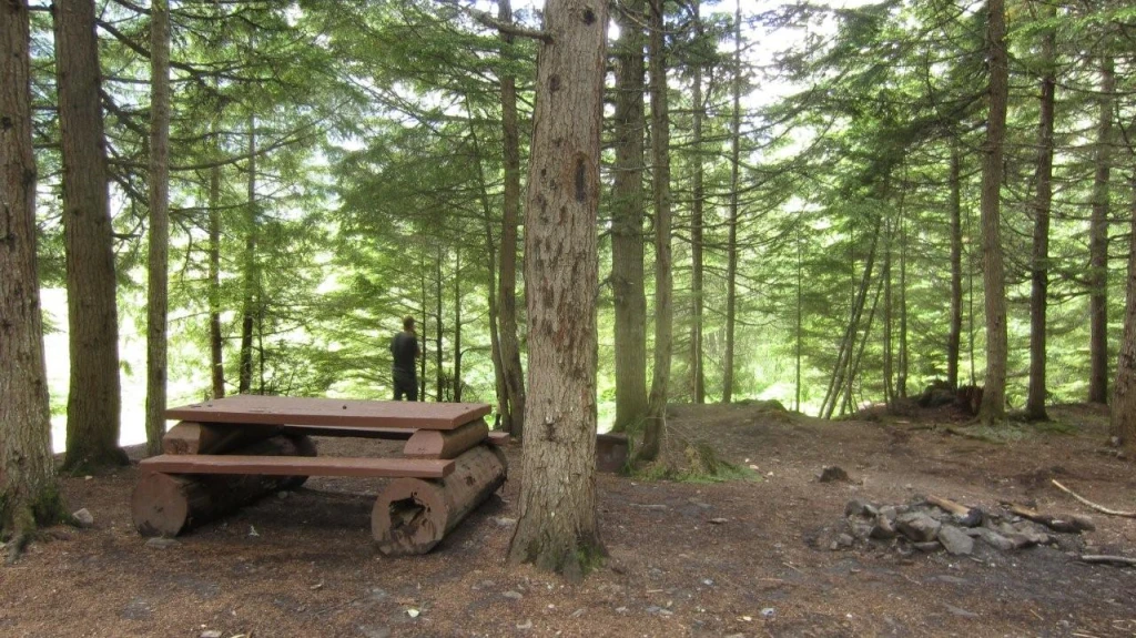 Photo: Recreation Sites and Trails BC. © Province of British Columbia, licensed under the Open Government Licence – British Columbia. Beaver Lake, photo 8