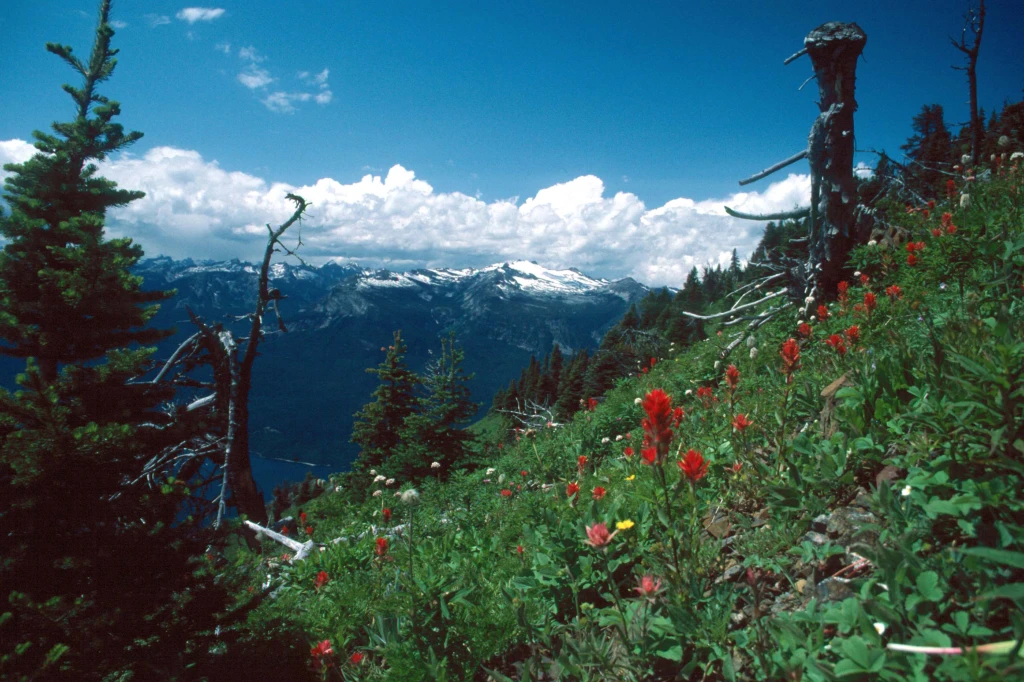 Photo: Recreation Sites and Trails BC. © Province of British Columbia, licensed under the Open Government Licence – British Columbia. Idaho Peak
