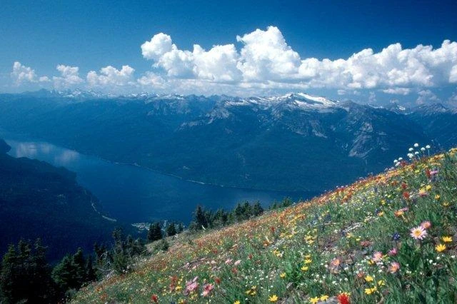 Photo: Recreation Sites and Trails BC. © Province of British Columbia, licensed under the Open Government Licence – British Columbia. Idaho Peak, photo 9