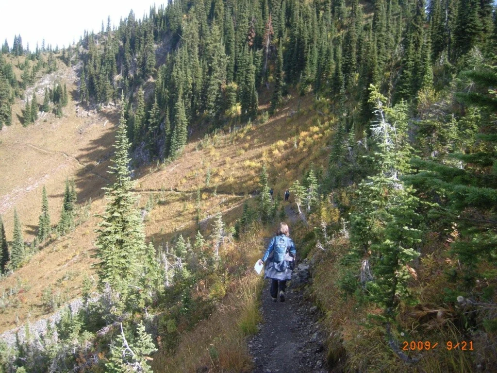 Photo: Recreation Sites and Trails BC. © Province of British Columbia, licensed under the Open Government Licence – British Columbia. Idaho Peak, photo 6