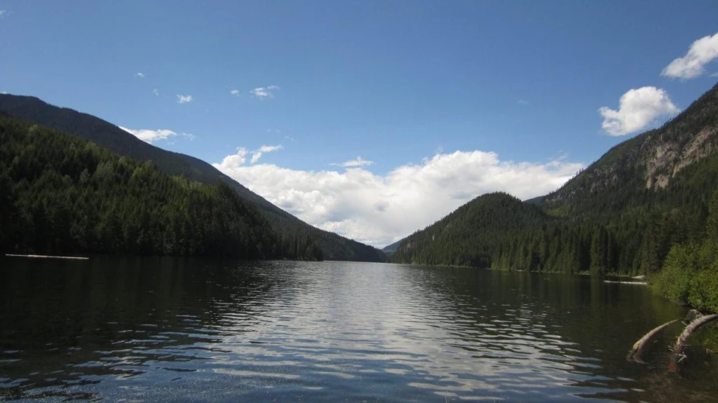 Photo: Recreation Sites and Trails BC. © Province of British Columbia, licensed under the Open Government Licence – British Columbia. Wilson Lake East, photo 3