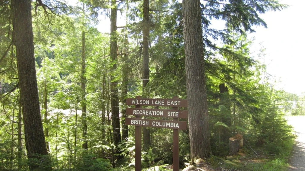 Photo: Recreation Sites and Trails BC. © Province of British Columbia, licensed under the Open Government Licence – British Columbia. Wilson Lake East, photo 6