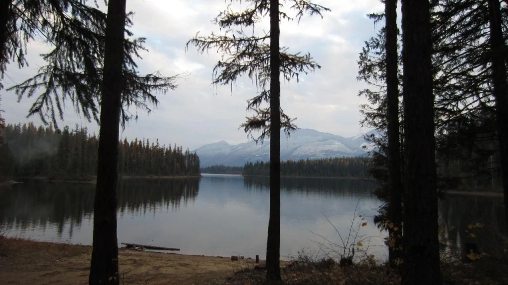 Photo: Recreation Sites and Trails BC. © Province of British Columbia, licensed under the Open Government Licence – British Columbia. Mosquito Lake, photo 5