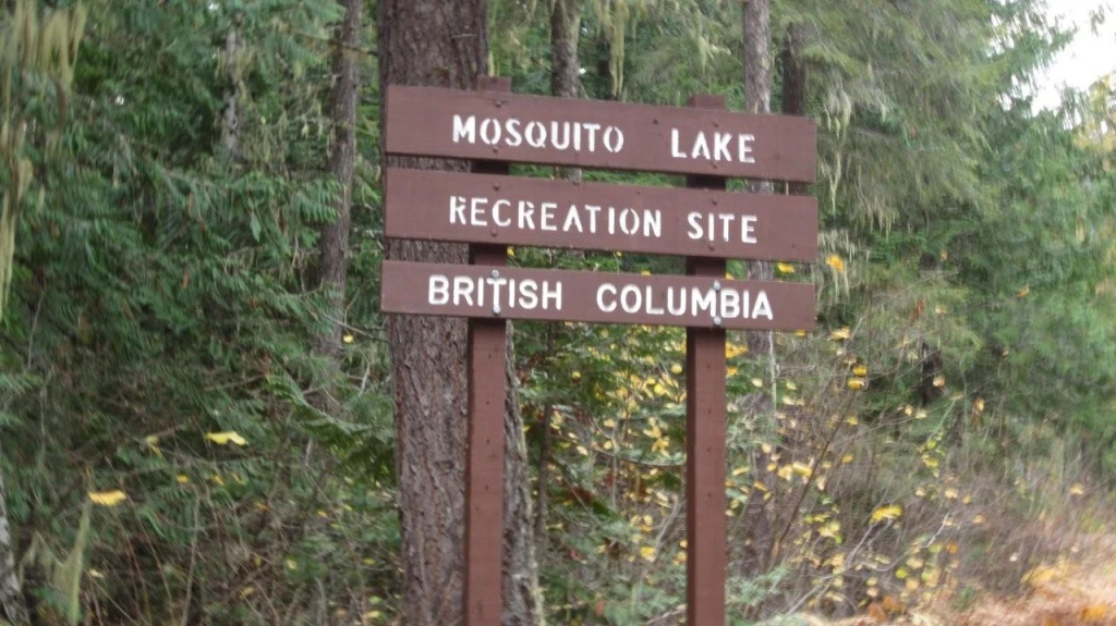 Photo: Recreation Sites and Trails BC. © Province of British Columbia, licensed under the Open Government Licence – British Columbia. Mosquito Lake, photo 6