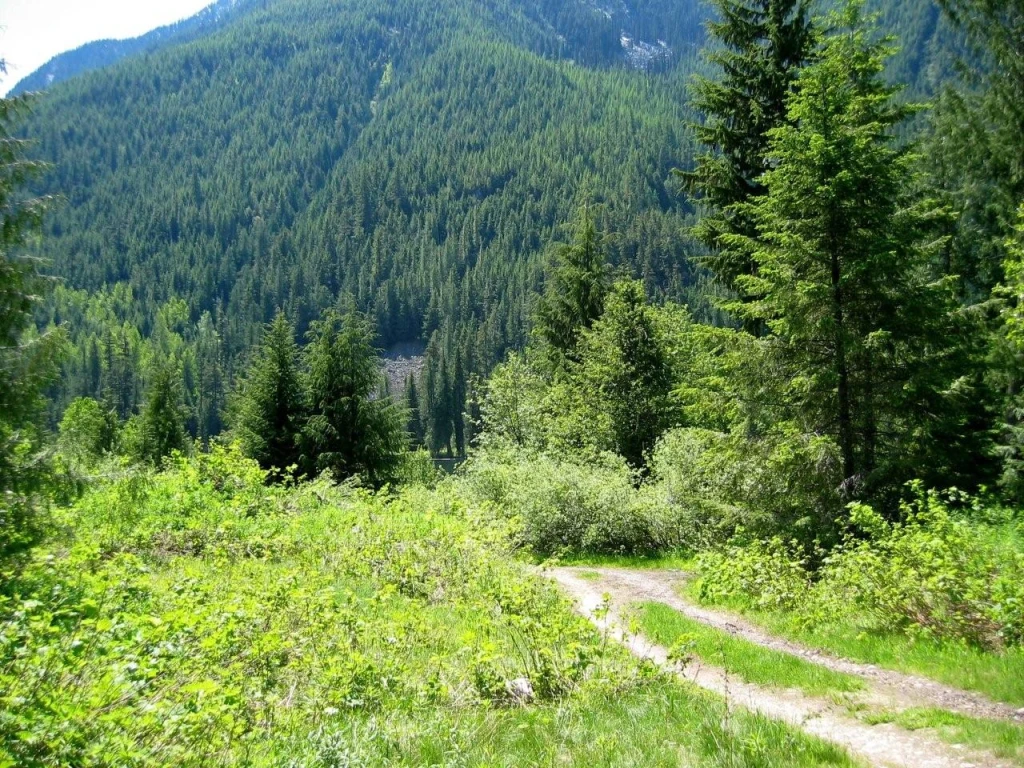 Photo: Recreation Sites and Trails BC. © Province of British Columbia, licensed under the Open Government Licence – British Columbia. Little Wilson Lake