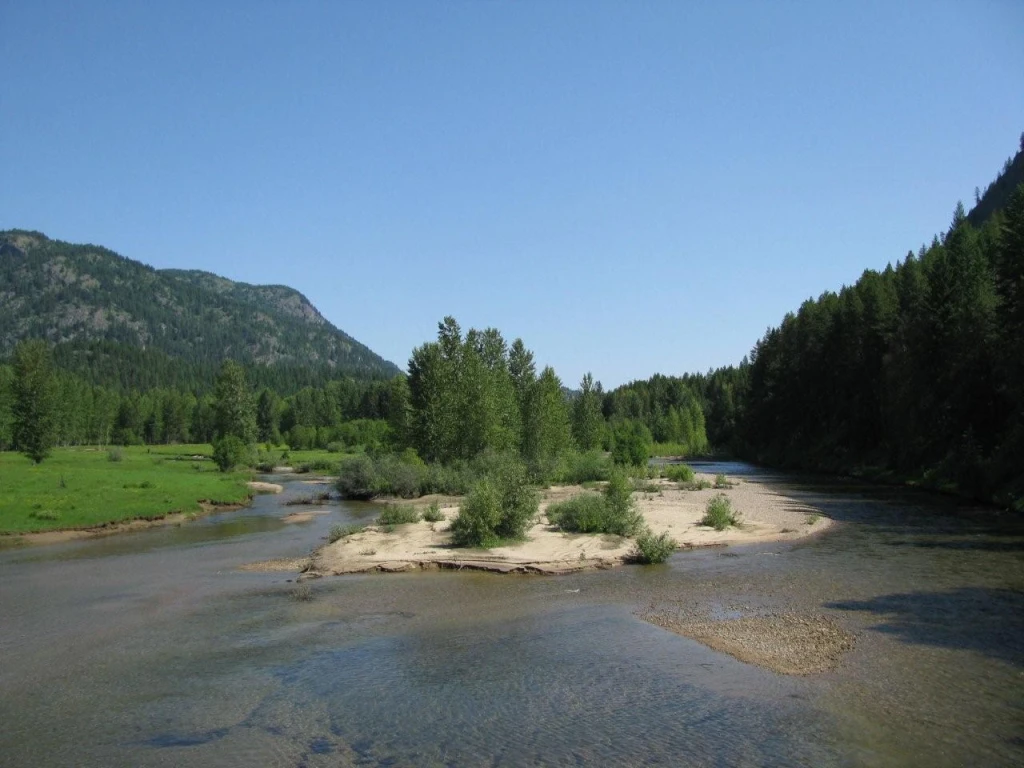 Photo: Recreation Sites and Trails BC. © Province of British Columbia, licensed under the Open Government Licence – British Columbia. Granby-Burrell Ck, photo 6