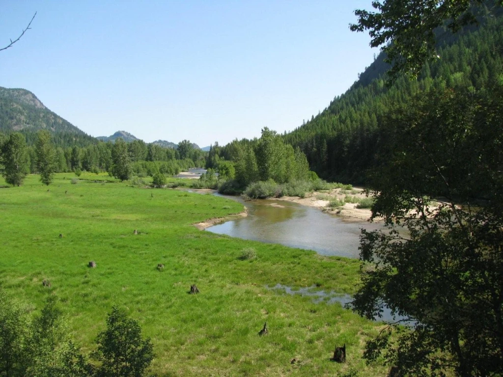 Photo: Recreation Sites and Trails BC. © Province of British Columbia, licensed under the Open Government Licence – British Columbia. Granby-Burrell Ck, photo 7