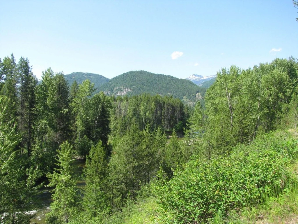 Photo: Recreation Sites and Trails BC. © Province of British Columbia, licensed under the Open Government Licence – British Columbia. Granby-Burrell Ck, photo 10